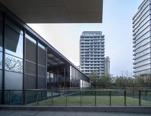 宋清輝 品牌聲譽是公司發(fā)展基石 被消費者質疑將傷害產品競爭力