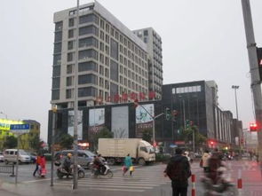 上海金鼎香樟苑：配套實景、樣板間與戶型全解析